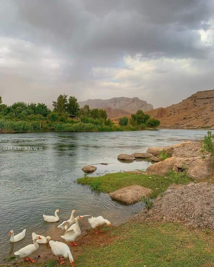 #طيف_تعرقل_رواتب_العلوميين