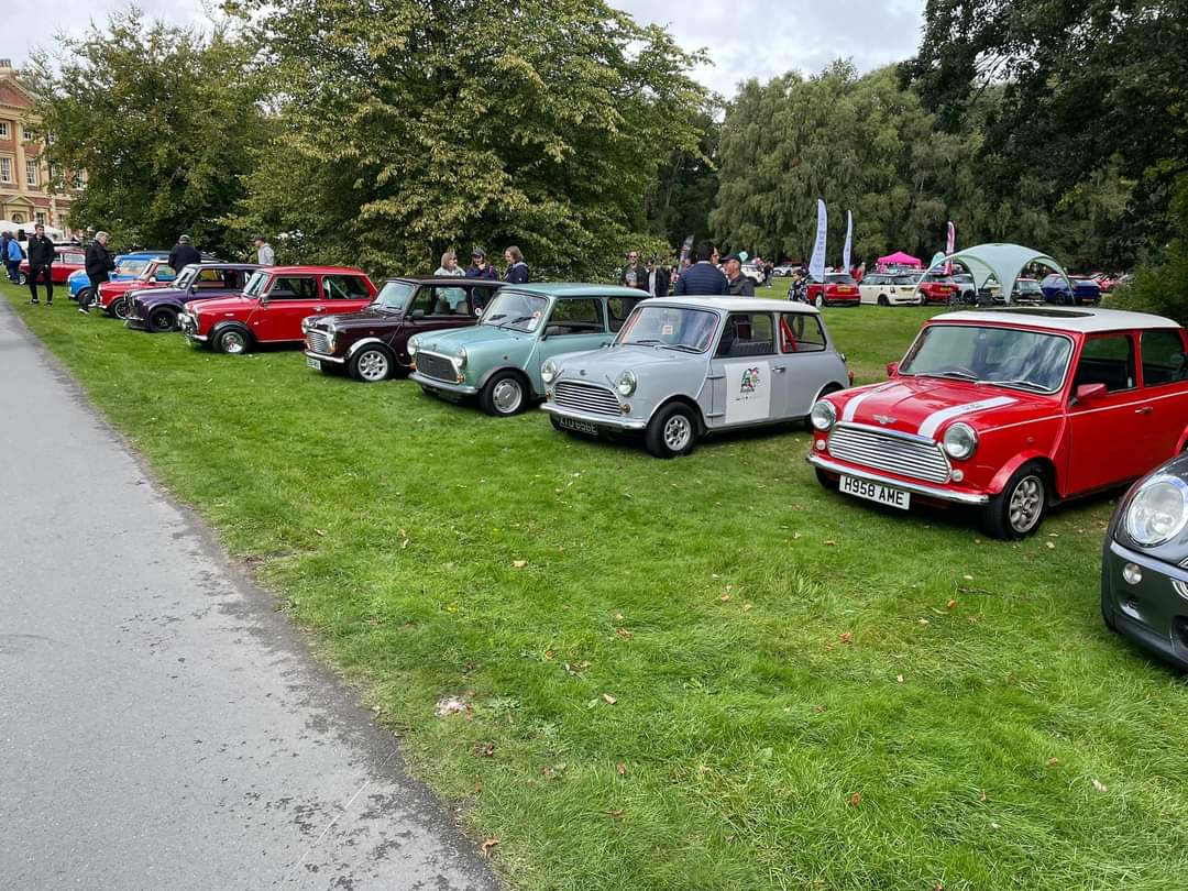 Leyland Mini Club tweet media