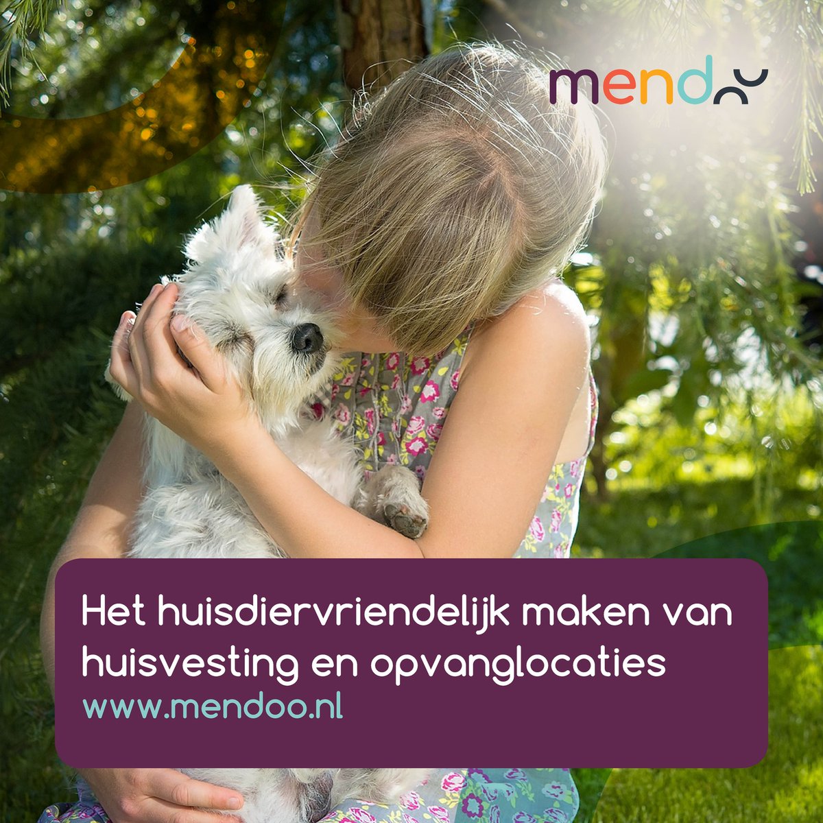 StichtingMendoo's tweet photo. 𝐯𝐚𝐧𝐝𝐚𝐚𝐠 𝐢𝐬 𝐡𝐞𝐭 𝐨𝐧𝐥𝐢𝐧𝐞 (𝐁𝐫𝐢𝐭𝐬𝐞) 𝐜𝐨𝐧𝐠𝐫𝐞𝐬 𝐨𝐯𝐞𝐫 𝐡𝐞𝐭 𝐭𝐨𝐞𝐥𝐚𝐭𝐞𝐧 𝐯𝐚𝐧 𝐡𝐮𝐢𝐬𝐝𝐢𝐞𝐫𝐞𝐧 𝐢𝐧 𝐨.𝐚. 𝐨𝐩𝐯𝐚𝐧𝐠𝐥𝐨𝐜𝐚𝐭𝐢𝐞𝐬! Gemist? Er zijn mogelijkheden om webinars terug te kijken. https://t.co/La68j5KKOb #SCAS2022 https://t.co/DJNy0nadMP