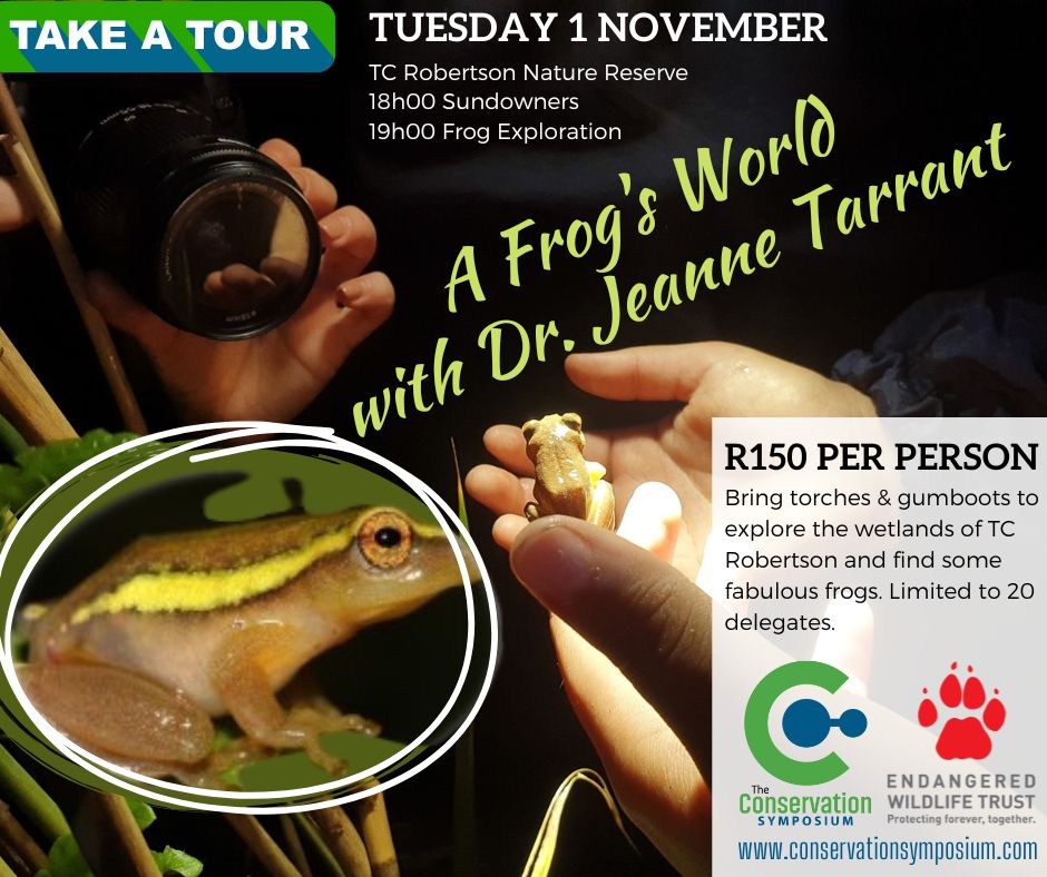 conservationsym's tweet photo. Take a tour during the #ConservationSymposium. 
A fun and fascinating evening of frog exploration on Tues 1 November 2022 at TC Robertson Nature Reserve, "A Frog's World with Dr. Jeanne Tarrant. Find out more: https://t.co/IDEQuxJf3v
@TheEWT @EZEMVELOKZNWild https://t.co/16sCsnOV9f