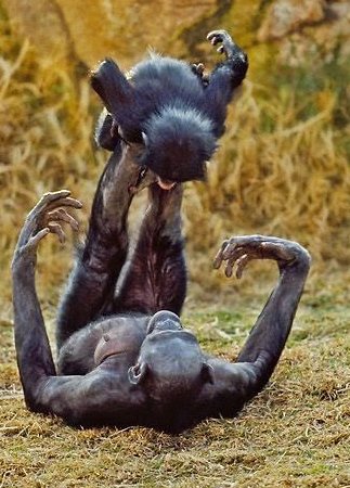 Ironic that humankind hopes to find intelligent, empathetic life on other planets, but as a species we've little regard for the empathetic creatures living on this one. Only by sharing the planet equally with all others, will humanity ever understand the true value of the world.