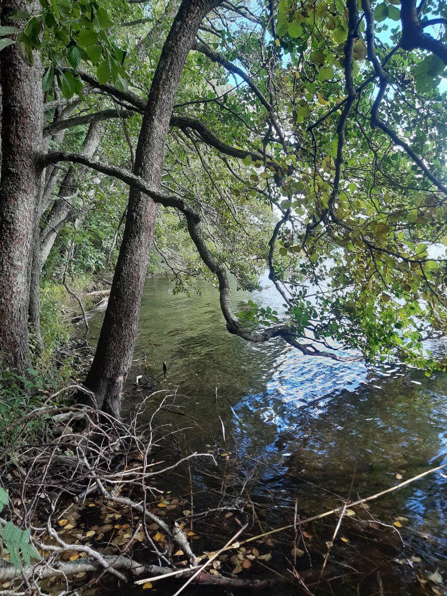 jptuominikula's tweet photo. Hieno päivä. Teimme retken Turun kaupungin omistamiin metsiin Kakskerran saarella. Hienoja paikkoja, vanhan metsän oloista.#metsä #Turku #Kakskerta https://t.co/Jcml1mxPbp