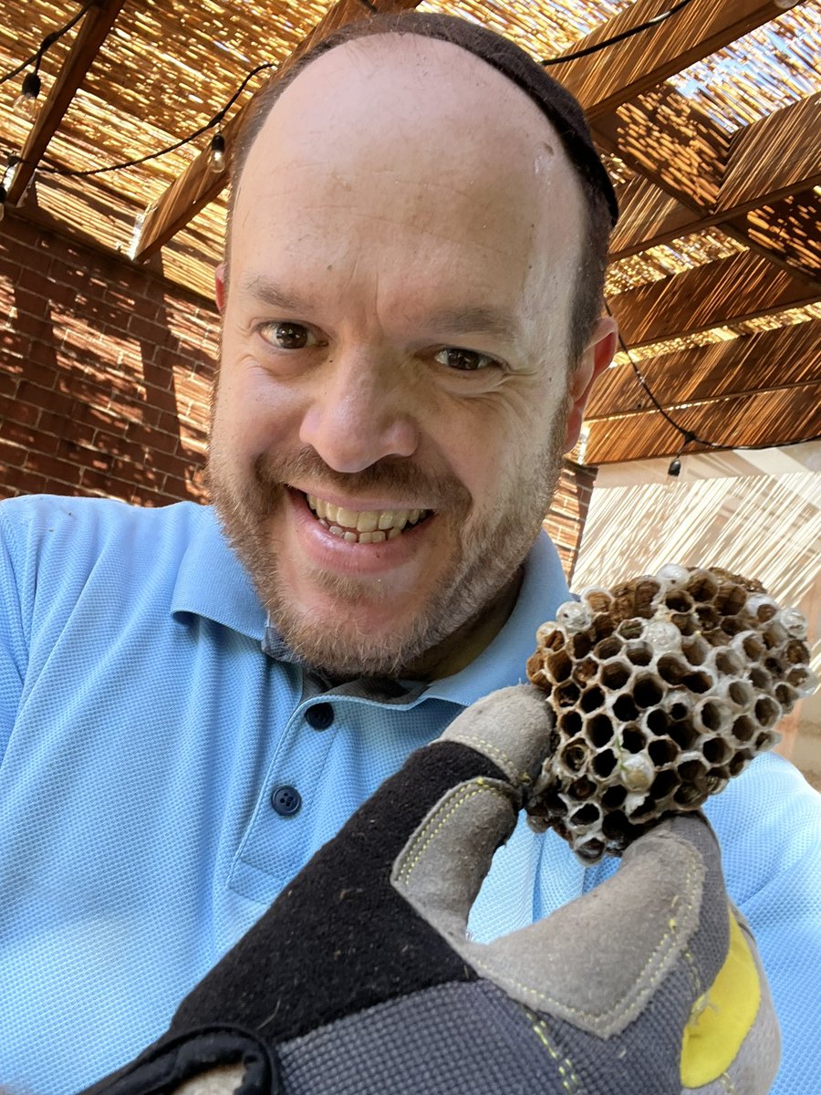 Yechiel Shaffer tweet media