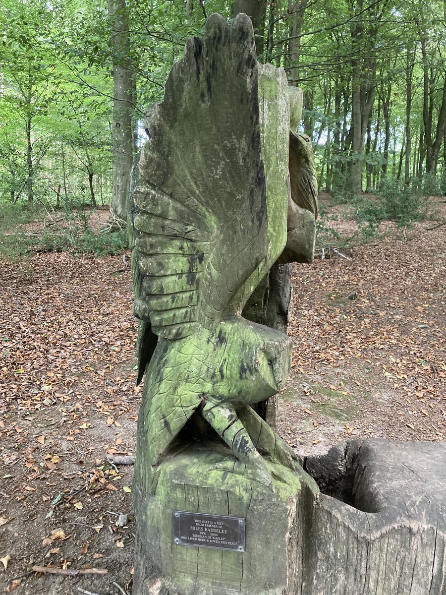 TakasakiAndy's tweet photo. Kington to Lingen on the #HerefordshireTrail today. Some nice views and hills, Iโm giving this one 5 out of 5 stars. I really enjoyed it, some beautiful woodland paths. 12 routes down, just 3 more to go. #FollowTheApple https://t.co/ng5fUFWOmZ