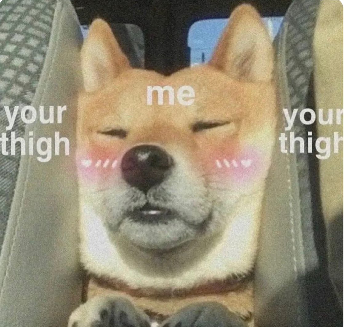 Pov: you're looking into Ryuji's brain