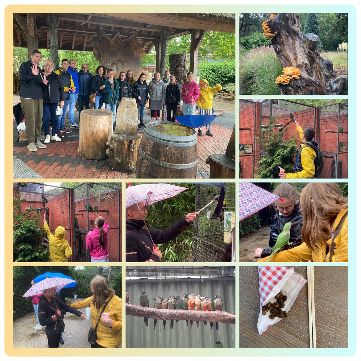 Ondanks de fikse regenbuien ☔️hebben we weer genoten van ons 1e uitstapje na de zomervakantie naar het Papegaaienpark Zoo Veldhoven 🦜🦜#senb