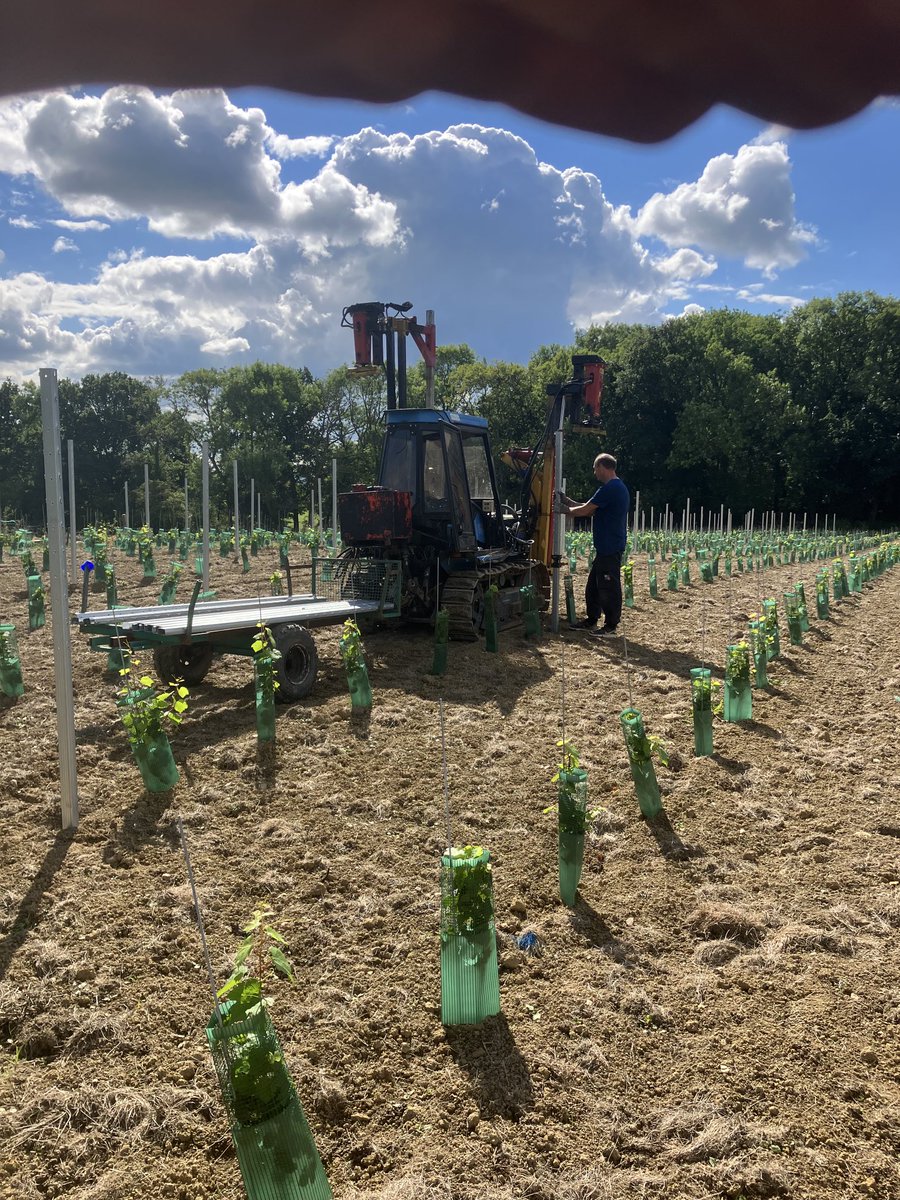 Slipping in another install between harvesting solaris (100 Oe!) and Pinot Noir back home
