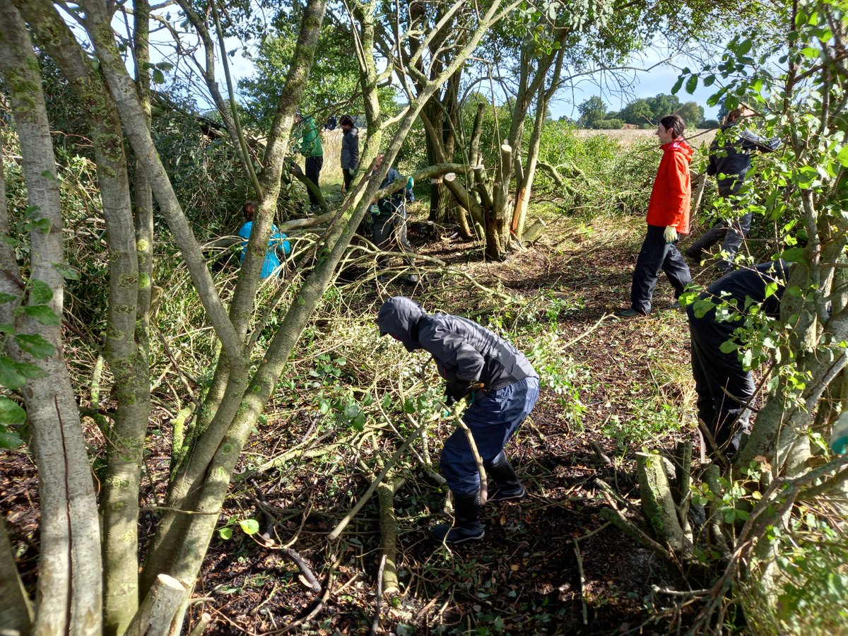 Afgelopen weekend is er hard gewerkt in het drentsche Aa door kamp #ivn #woesteland