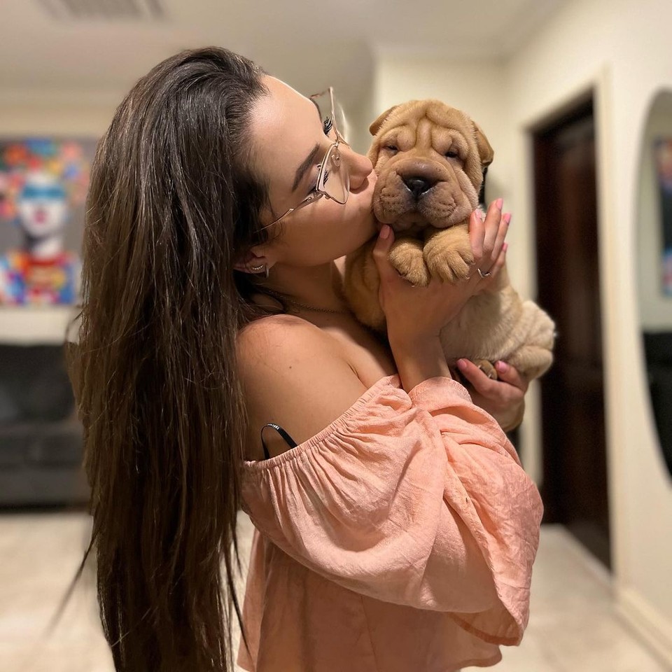 dogking99's tweet photo. #dogs #DogsofTwittter #dog #dogcelebration #GoldenRetrievers #freedom #rescuedog #Dog #DogsofTwittter #DogsOnTwitter #dogs #dogsarefamily Click Now : httpsamzn.to3f14cQo https://t.co/6kqGnBVaPm