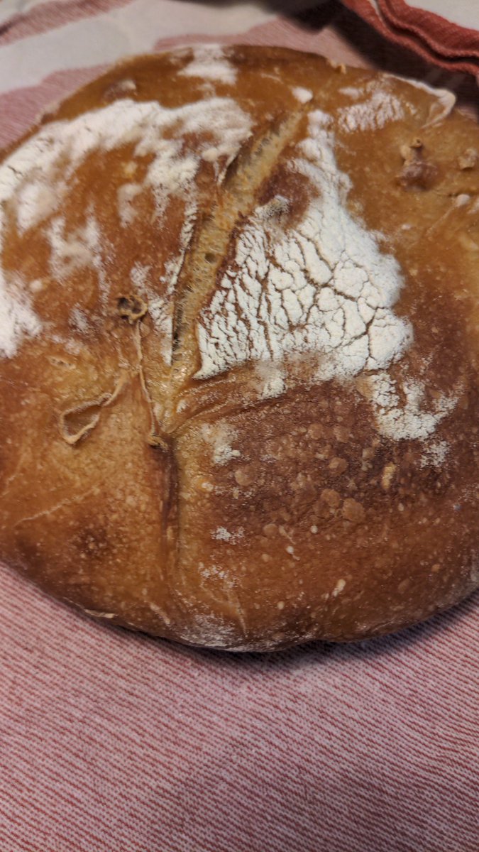 My first #Sourdough loaf this #sourdoughseptember - a rye starter with strong white flour.