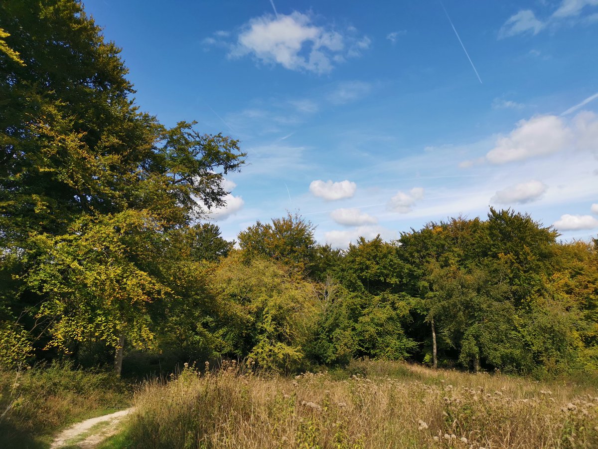 Beginnings of autumn up at the folly.