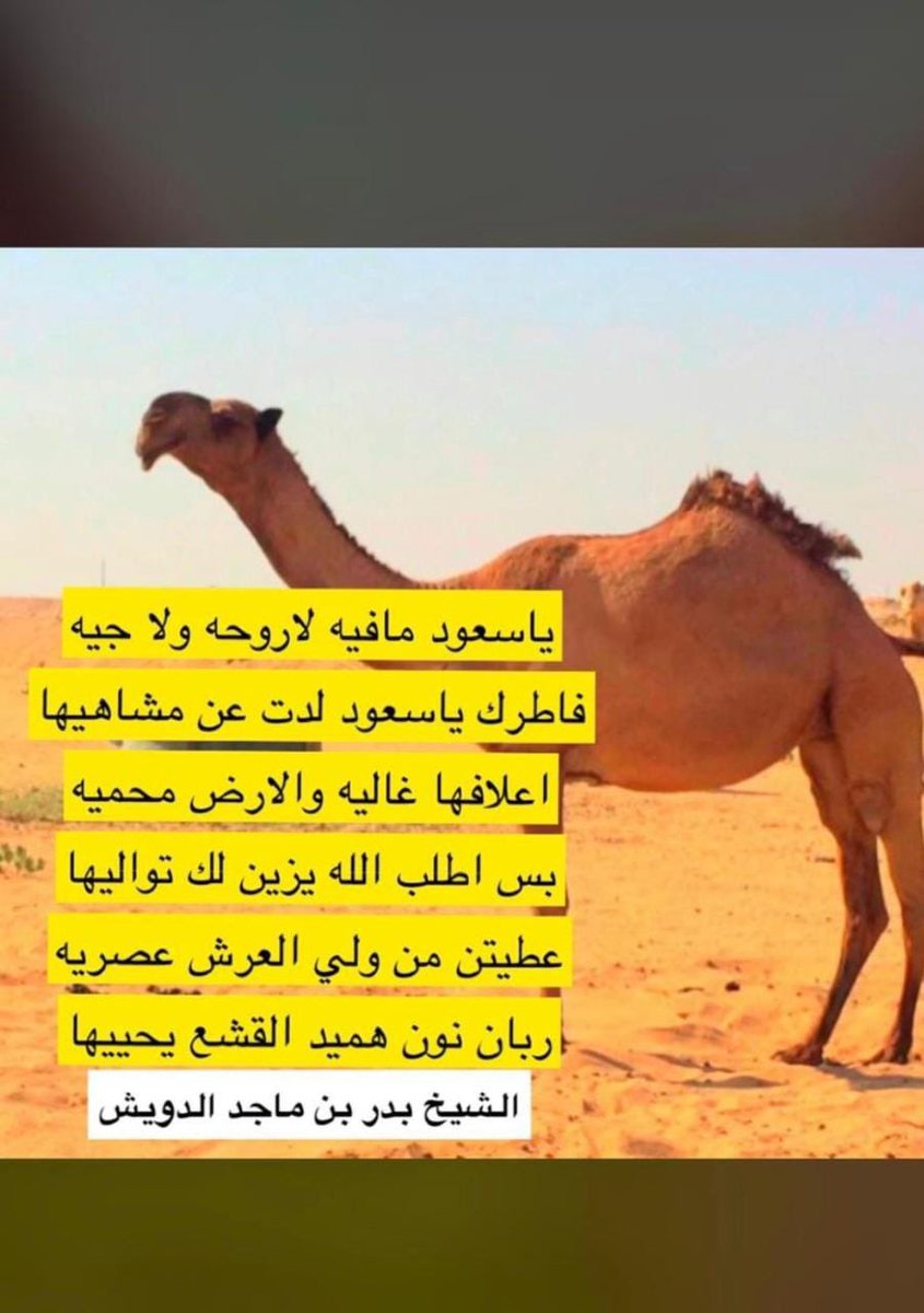 ﮼صـــالح،المريخي (@almorikysaleh) on Twitter photo 