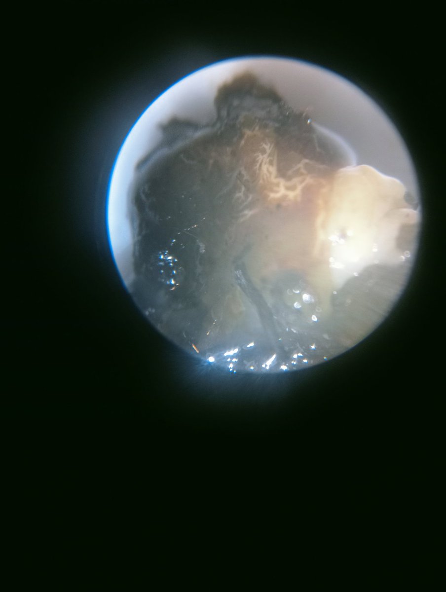 ScrubbiesUK tweet media