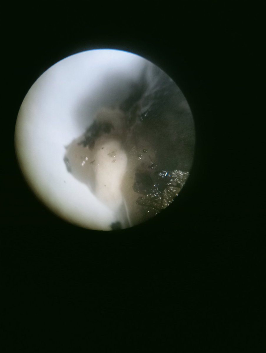 ScrubbiesUK tweet media