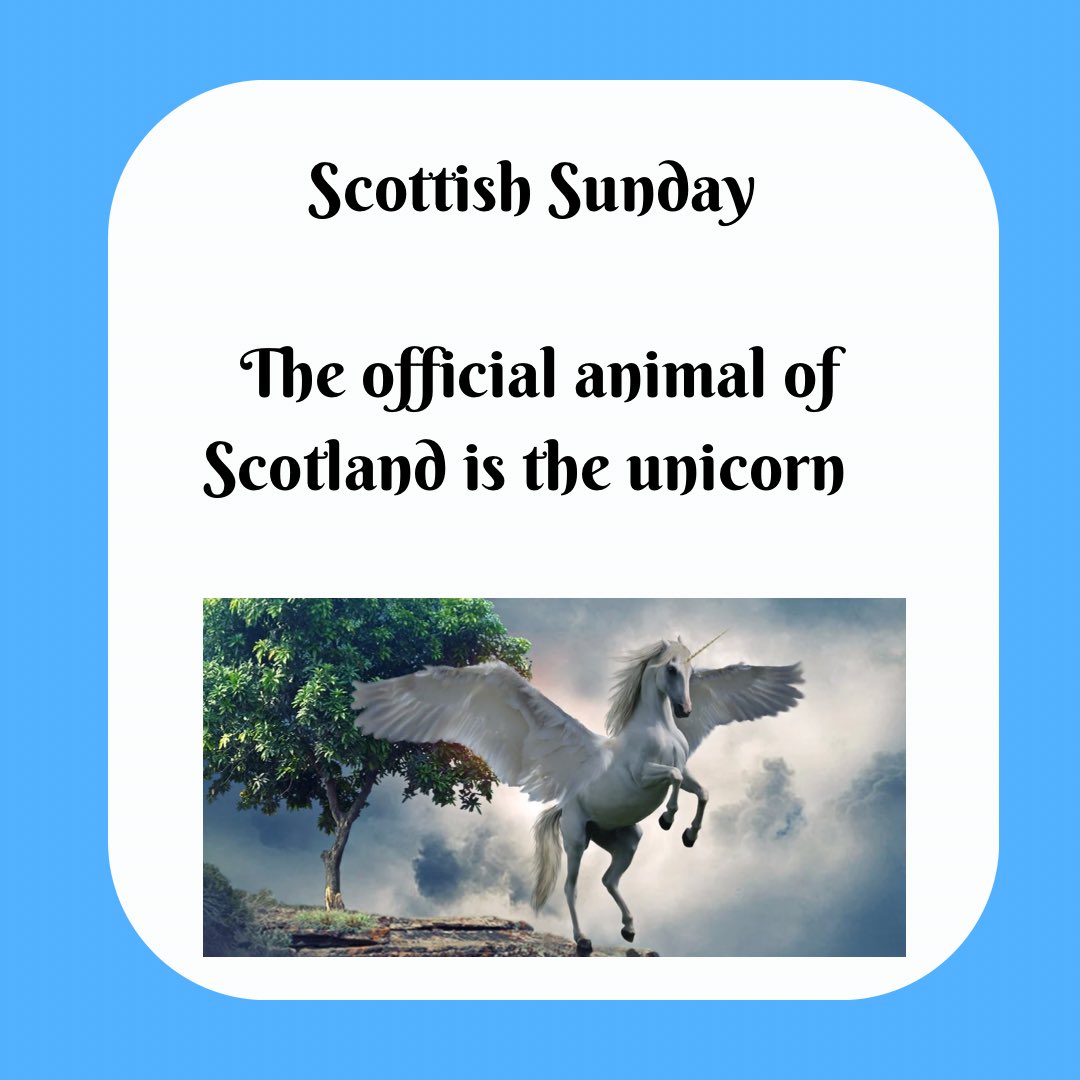RSCDSNewYork's tweet photo. Dancescottishnyc https://t.co/od1jTWNUHI