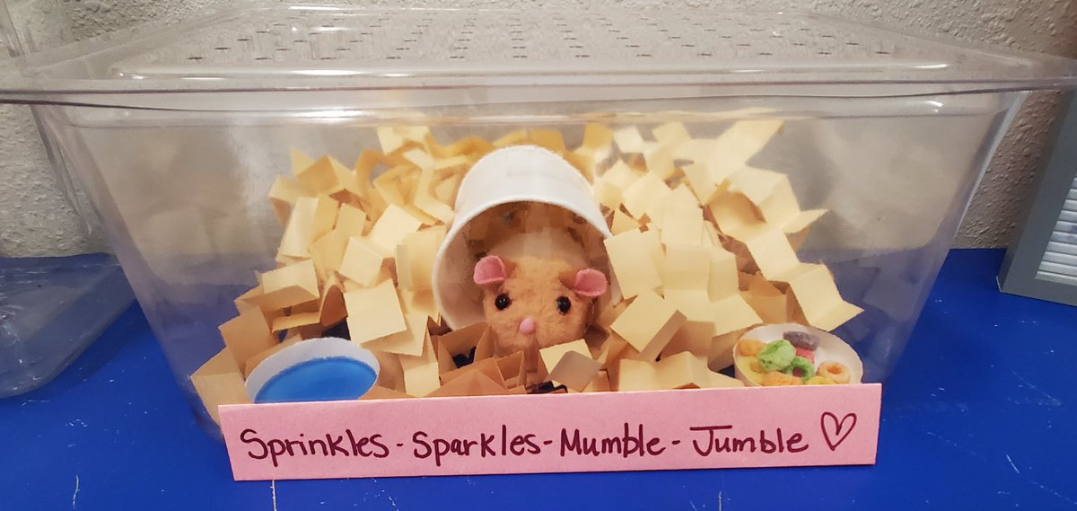 The STEM lab was gifted a class pet/mascot by the sweetest 4th grader last week. Thanks, Petunia! We didn't think Principal Camp would approve our first choice. 🐐 So, meet Prof. Sprinkles Sparkles Mumble Jumble. Easiest pet, ever! <a href="/DavisElemRCISD/">DavisElemRCISD</a> <a href="/MrsRCamp/">Rachel Camp</a>