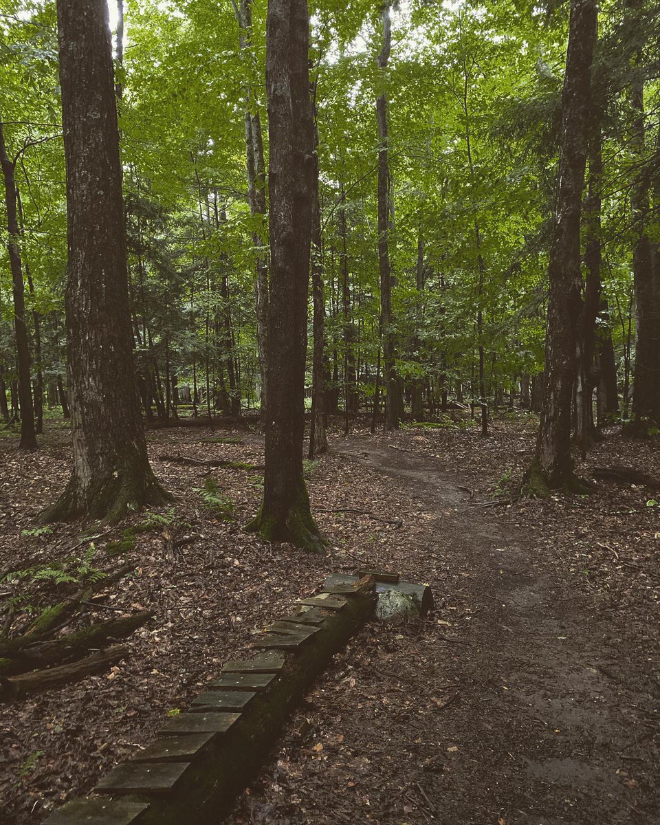 trail_is's tweet photo. Sometimes a run doesn’t go to plan. But then I reminded myself that having a plan makes everything no fun. Decided to just enjoy the rain on my run/hike today and just be at peace with it. ✌️❤️ #lifeistrailrunning #trailrunningviews #trailrunninglife #enjoyingtherain #3run5 https://t.co/sjkSMTNjKd