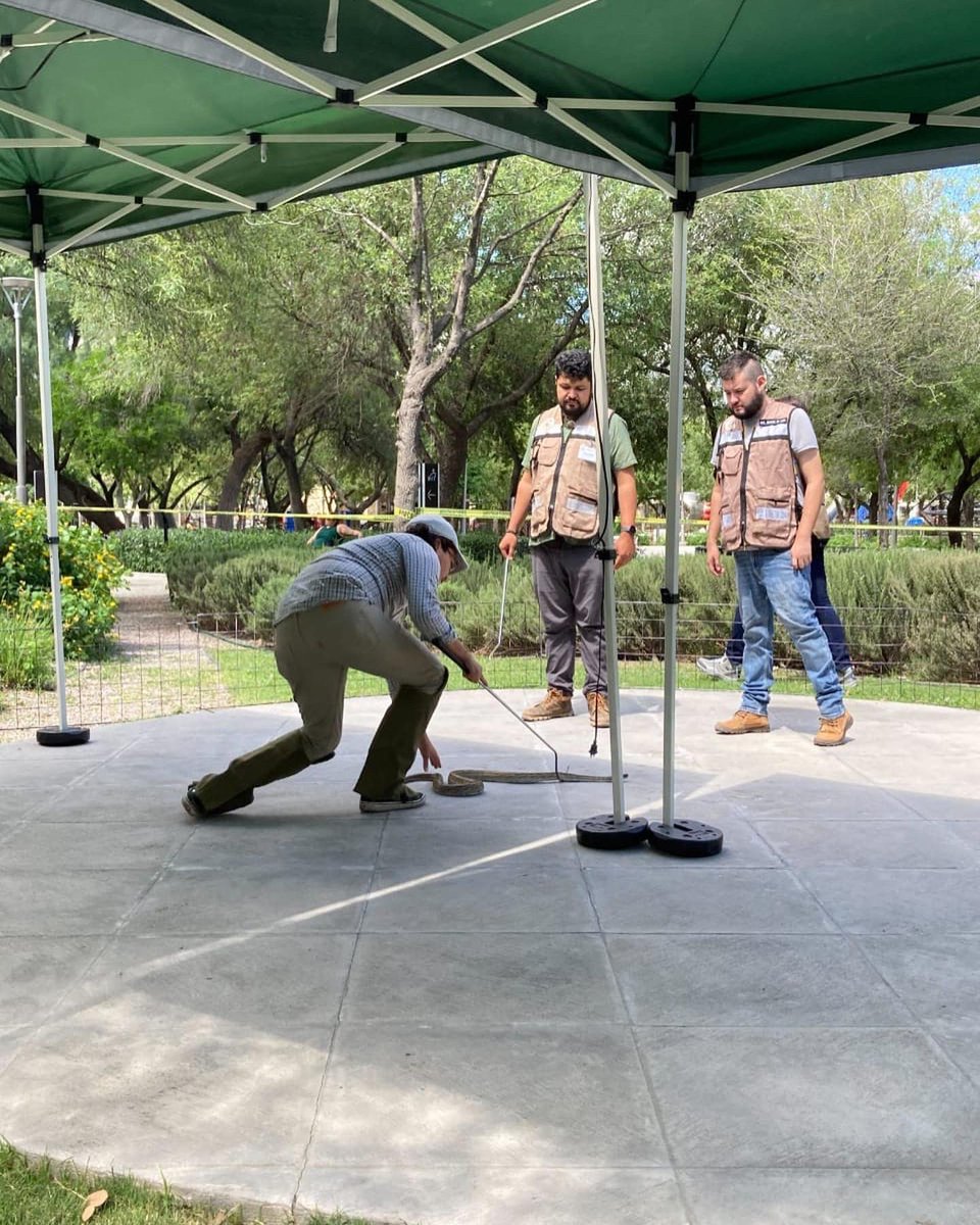 sanpedroparques's tweet photo. En el equipo de #SanPedroParques nos capacitamos y preparamos para ofrecer un mejor servicio a los usuarios y al ecosistema.

#profesionalizacionSPP https://t.co/kaLkuG829W