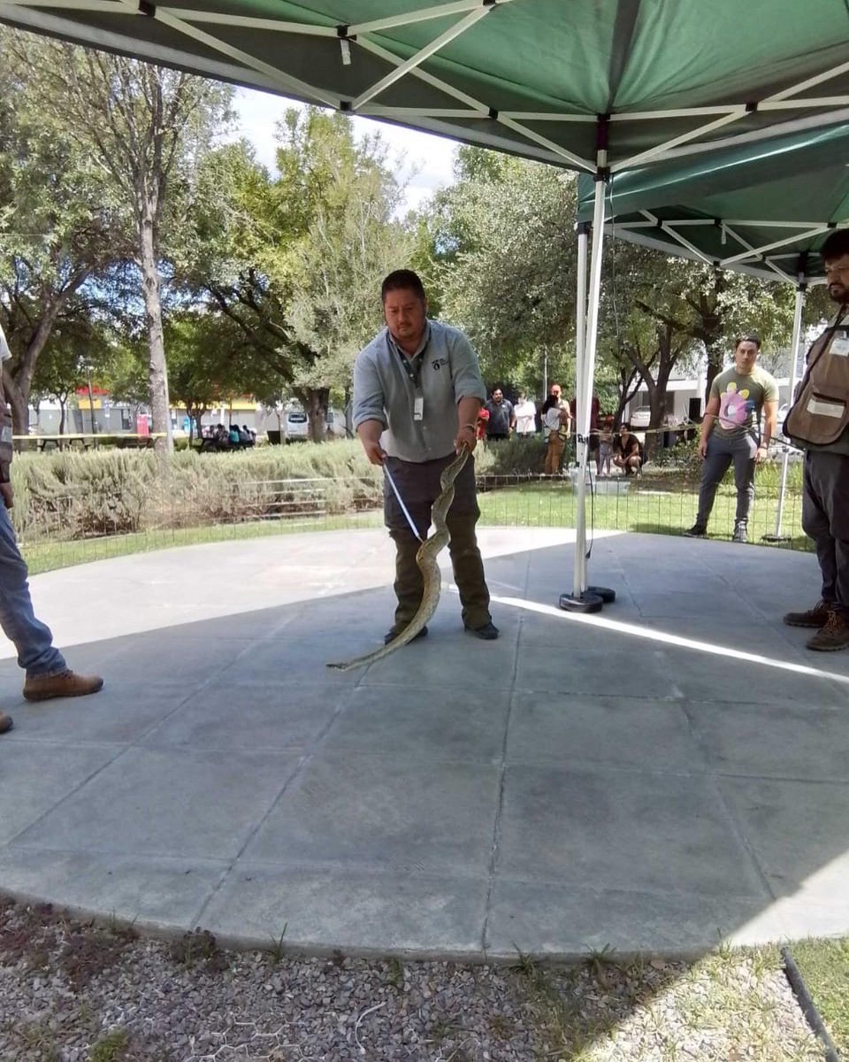sanpedroparques's tweet photo. En el equipo de #SanPedroParques nos capacitamos y preparamos para ofrecer un mejor servicio a los usuarios y al ecosistema.

#profesionalizacionSPP https://t.co/kaLkuG829W