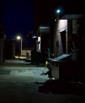 sighofreleef's tweet image. WHAT&apos;S THAT [Sweet fragrance]??? IS THAT FRESH [Take my hand and we&apos;ll be off]??!?! #SPAMTONCHALLENGE