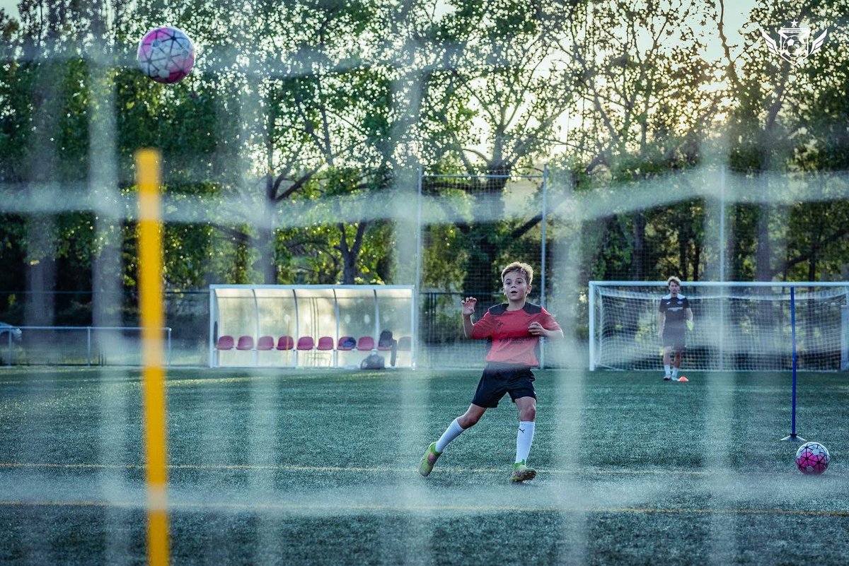 AcademyTF_'s tweet photo. ʜᴇᴍ ᴛᴏʀɴᴀᴛ 🤩🔝

Primers entrenaments individuals de la temporada 22/23‼️

ℹ️💻 Més informació i inscripcions obertes a https://t.co/T7u6JQFz0Y i al WhatsApp (681 177 077)
—
📸: @enricserraphoto https://t.co/IDbPGg0m29