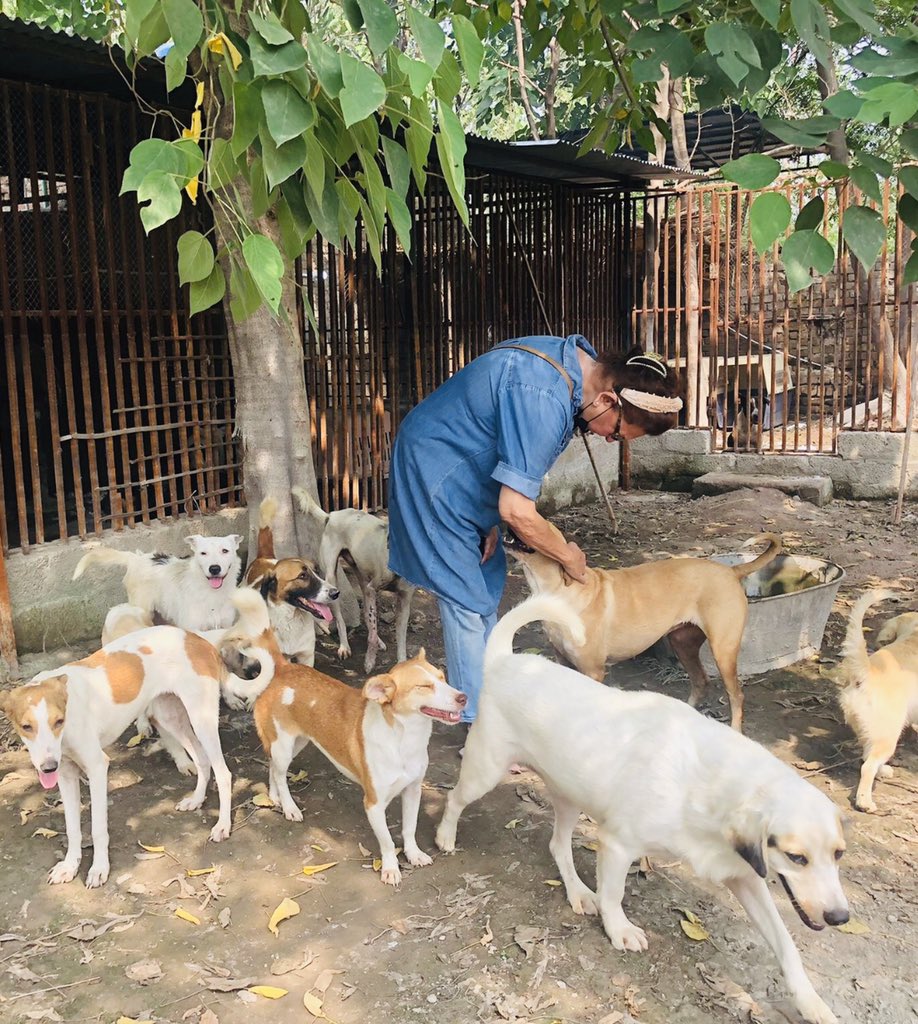 I never give up and we will rebuild. Thanks from the bottom of my heart to all you wonderful and kind people all over the world for your continued help and support. Love You All !!🙏🙏🙏

#animalshelter #animalrescues #kpk #peshawar #pakistan #floods #devastation #damage