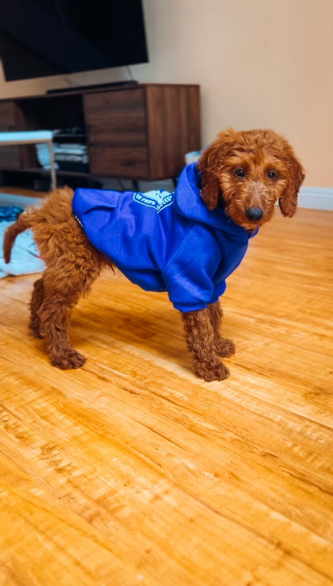 Amanda Paris on Twitter: