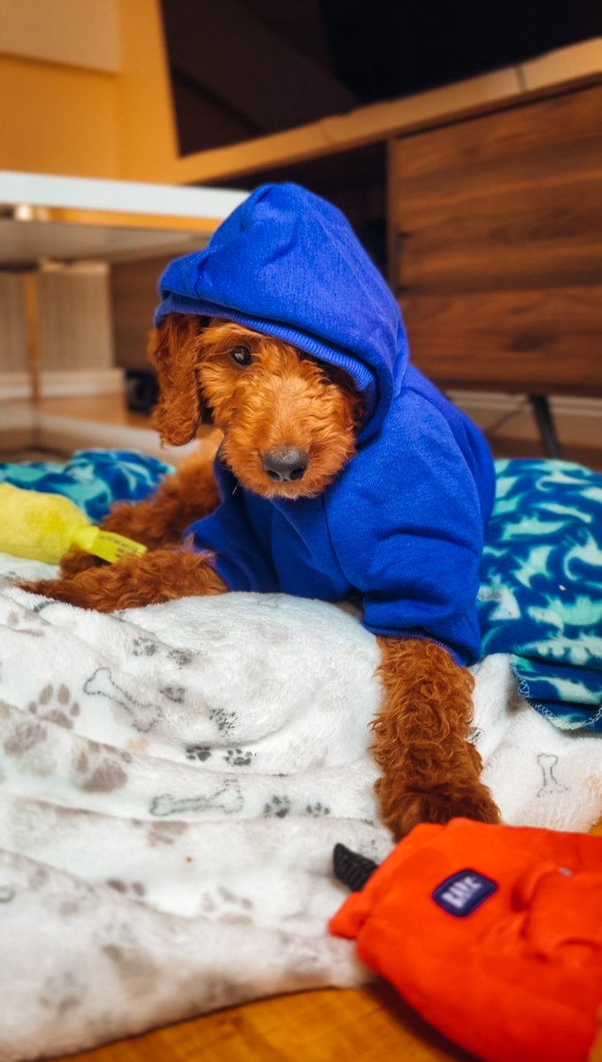 Amanda Paris on Twitter: