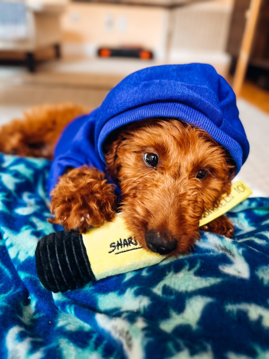 Amanda Paris on Twitter: