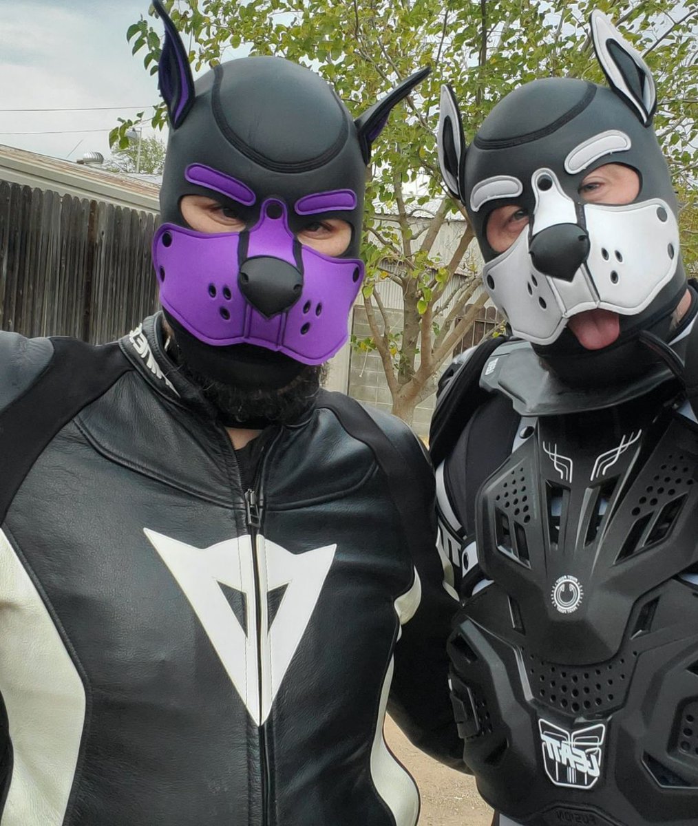 TFW you enjoy somebody so much that you wind up playing guitar and singing for him as he wakes up on a rainy Sunday morning.

Is it possible for life to be *too* wonderful? It's spooky how amazing things have been this summer.

I like like you so very much......Alpha 🤍🖤🤍🖤🤍