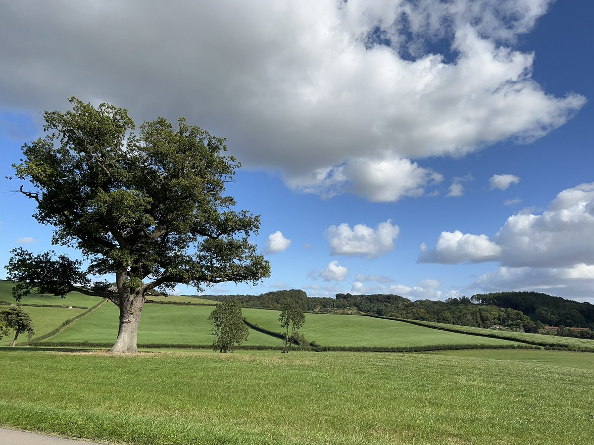 Great scenery everywhere we turned this weekend. We 💜 North Yorkshire #Yorkshire #walk