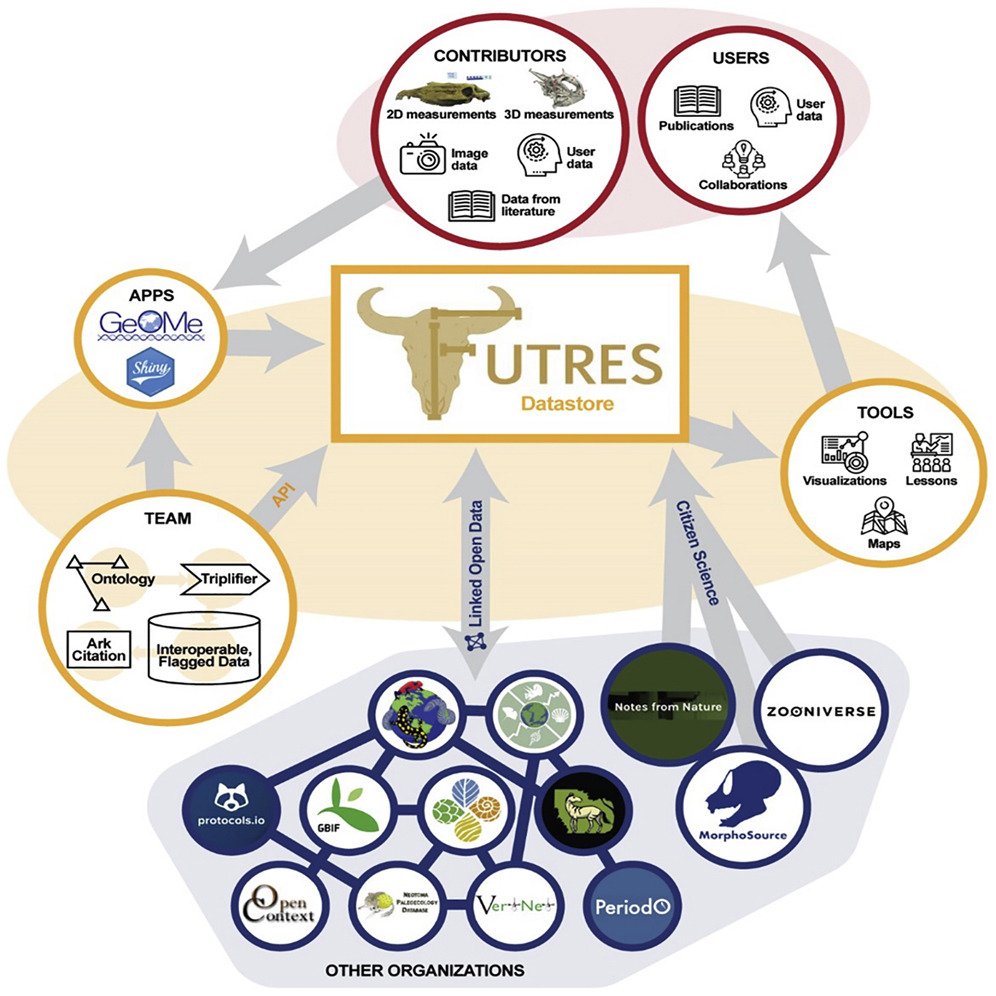 sbuEcoEvo's tweet photo. Trait databases have been essential for advancing #comparative #biology, but how to integrate individual-level data at scale? #FuTRES with @LabDavalos has the answer! #biodiversity ๐ฆ๐ฆ๐ฆ๐ฆ๐ฆ๐๐ณ๐ตhttps://t.co/IaAGuBHKIA https://t.co/lyu7uRAmus