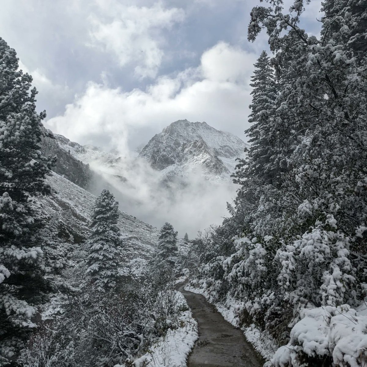 Emma Sumner tweet media