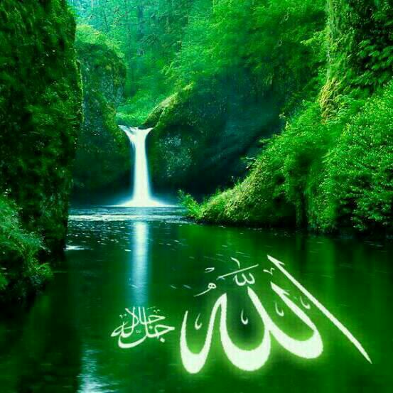 اللهم صل وسلم وبارك على سيدنا محمد وعلى آله وصحبه أجمعين وسلم تسليما كثيرا