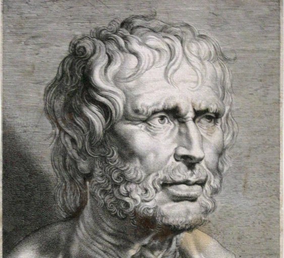 THE SHORT BEAR tweet media