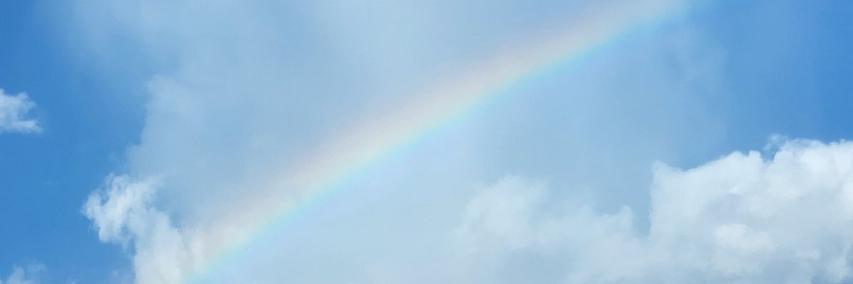 ✒️🗯 (archive) tweet media