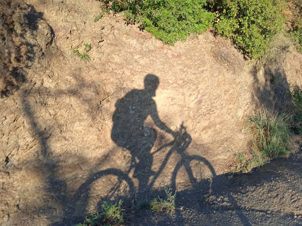 acorralcrm's tweet image. A man and a bicycle 

#theshadowproject
Sept 6, 19:23 CEST
Collserola
(before arriving at el Forat del Vent)