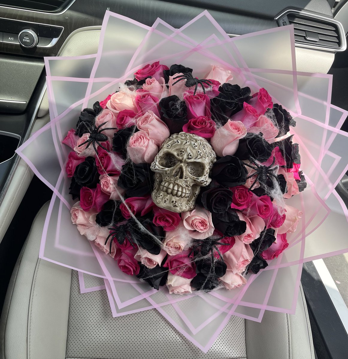lmd20_'s tweet photo. spooky szn💓💞💕🕷️💀👻 https://t.co/wNwCtF4H6X
