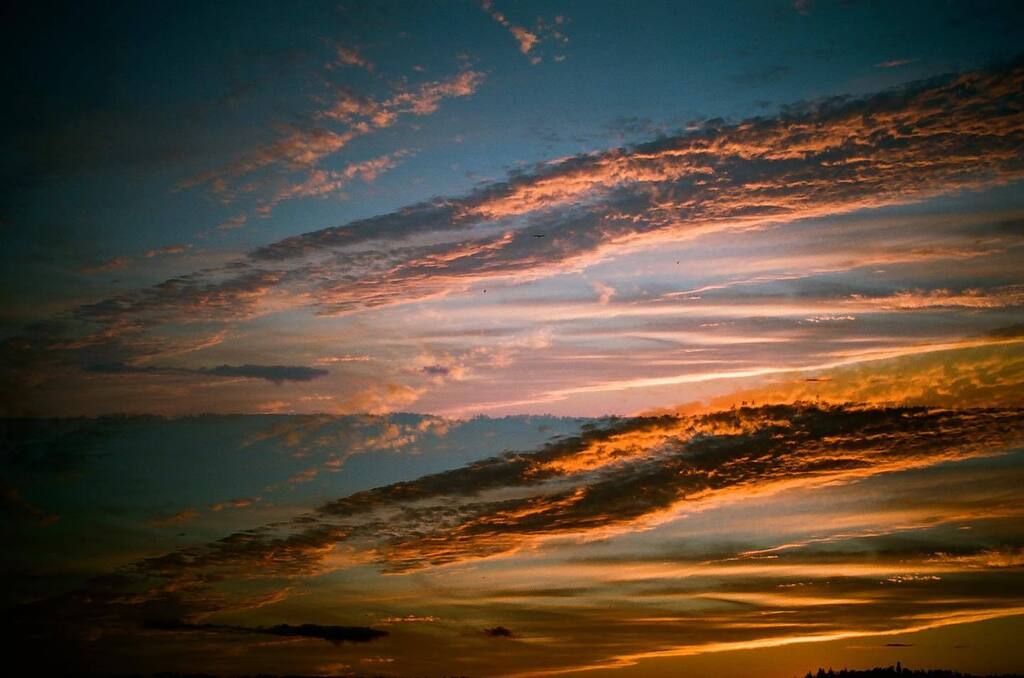 willkaufhold's tweet photo. 📷 Nikon FE, Nikkor-S 35mm f/2.8, 🎞️ Kodak Portra 160 #film #doubleexposure #nikon #kodak #portra160 #sunset #filmphotography #filmisnotdead #buyfilmnotmegapixels #analogcommunity https://t.co/ldn9tLzwQG https://t.co/70YRR6L6M4
