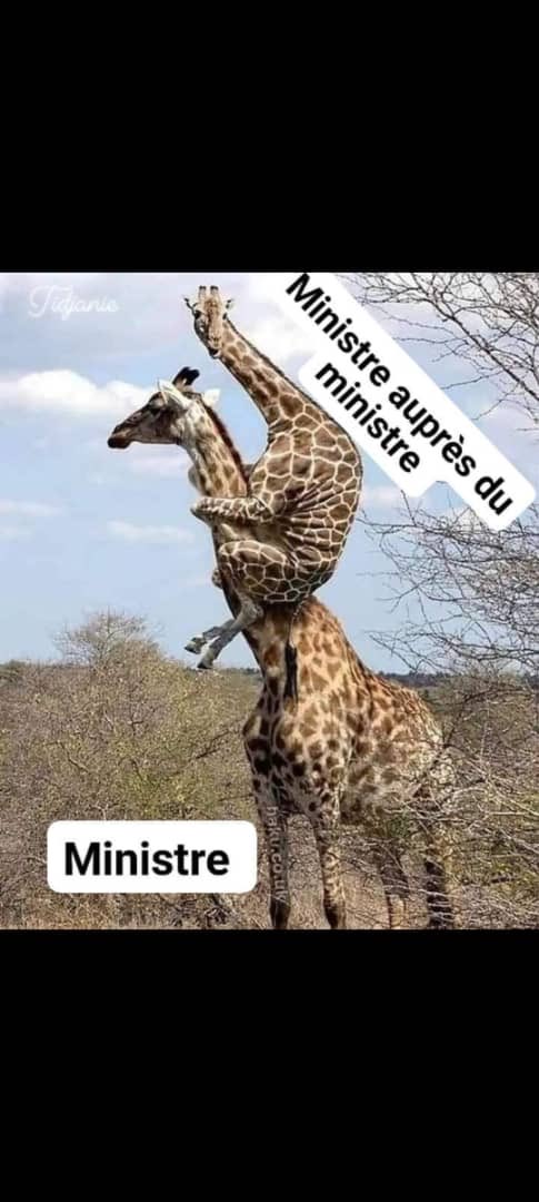 Fatoublondin1's tweet photo. #kebetu #freesenegal ⁦@cheikhtdieye⁩ ⁦@SonkoOfficiel⁩ Petit voyage au royaume marron/beige https://t.co/Lxt23mdVT6