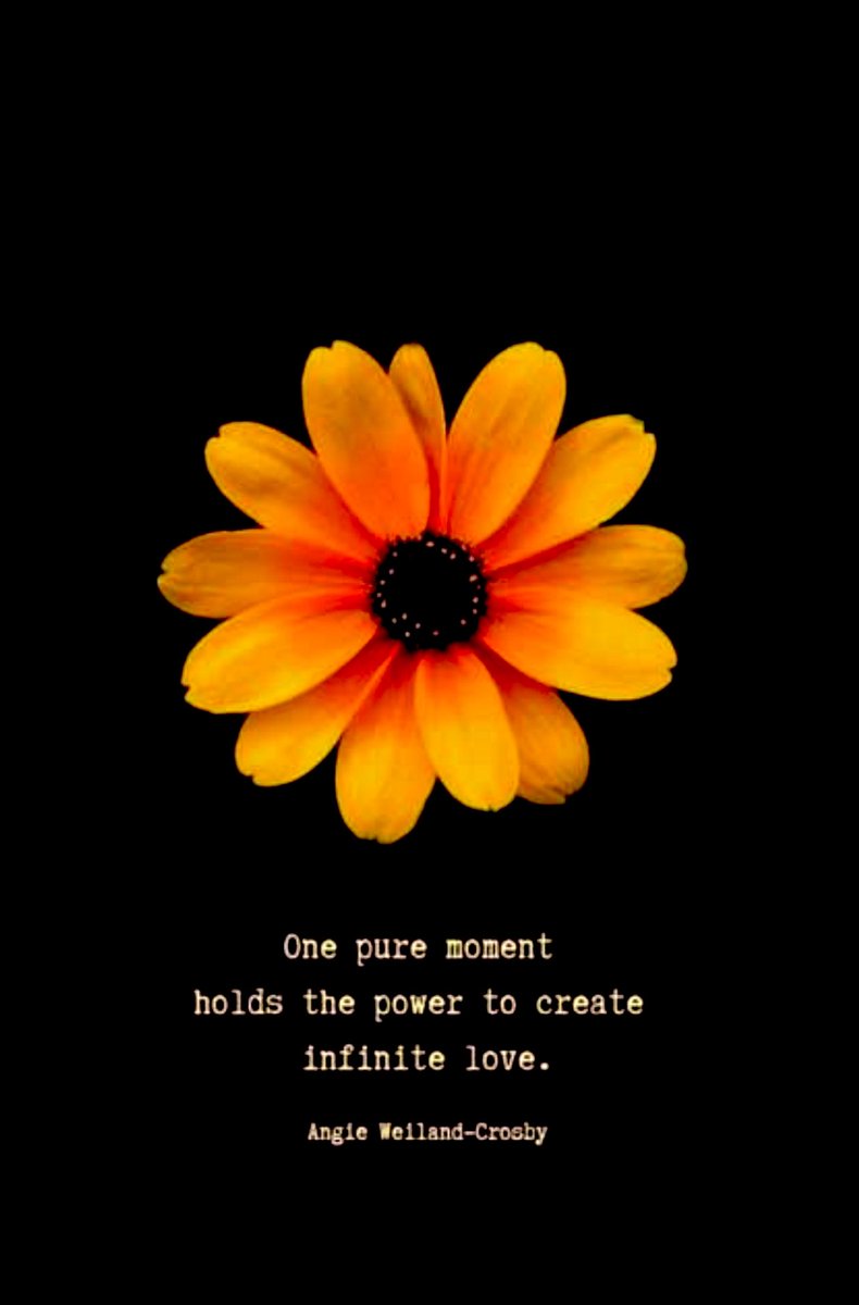 zjgalvan's tweet photo. #SoulfulSunday has the power to create so many pure moments as we pause, engage, share, and live in the beauty of today.🌻🌻🌻#ALLmeansALL #CaptureToday @mrsjessgomez @TheColon_s @ProfeMsVgodinez @pgilders @RosaIsiah @DiocelinaBelle @PrincipalRoRod @LoriGonzalezEDU @Walker1Dr https://t.co/AtrO1QJblH