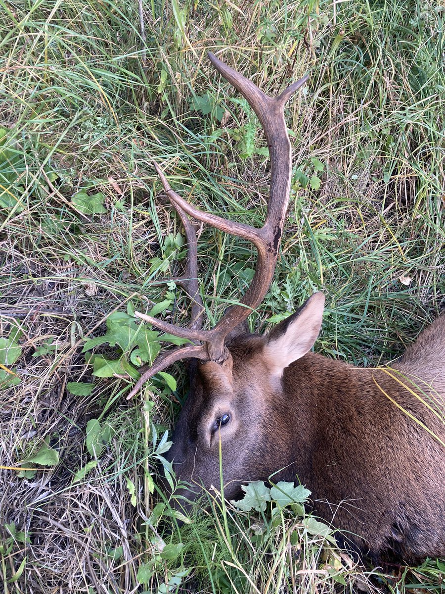 scottj300's tweet photo. Caught this guy napping with his eyes open 👀 https://t.co/y4dVd1l3H6