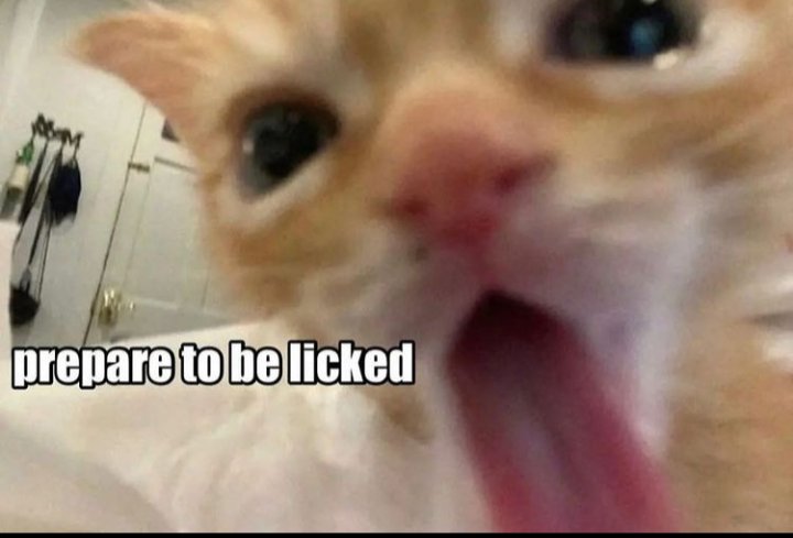 I must continue the chain. Chewing time.