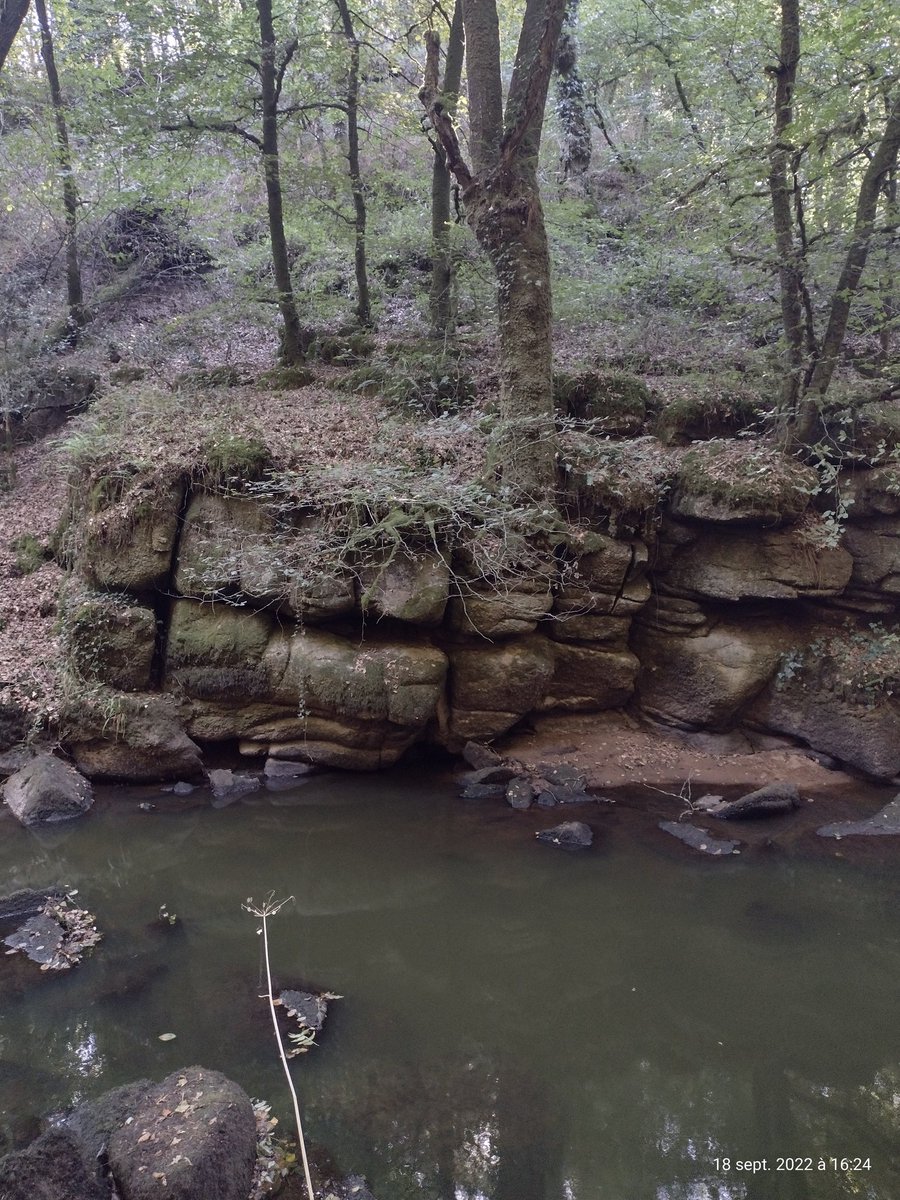 ThiChaplain's tweet photo. Quand les #éléments font un #mur dans le #KreizBreizh. #nature #randonnée #reposdominical https://t.co/p7GWG9wREA