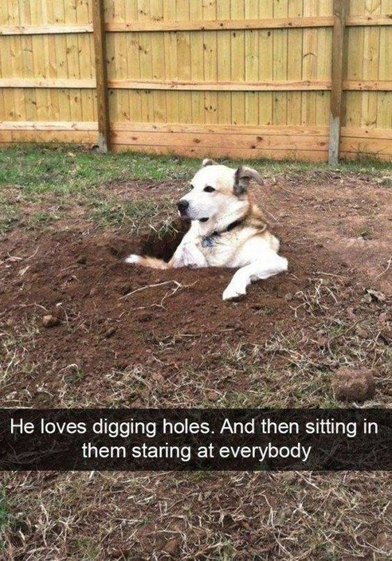 WholesomeMeme's tweet photo. https://t.co/1kY8cARX62