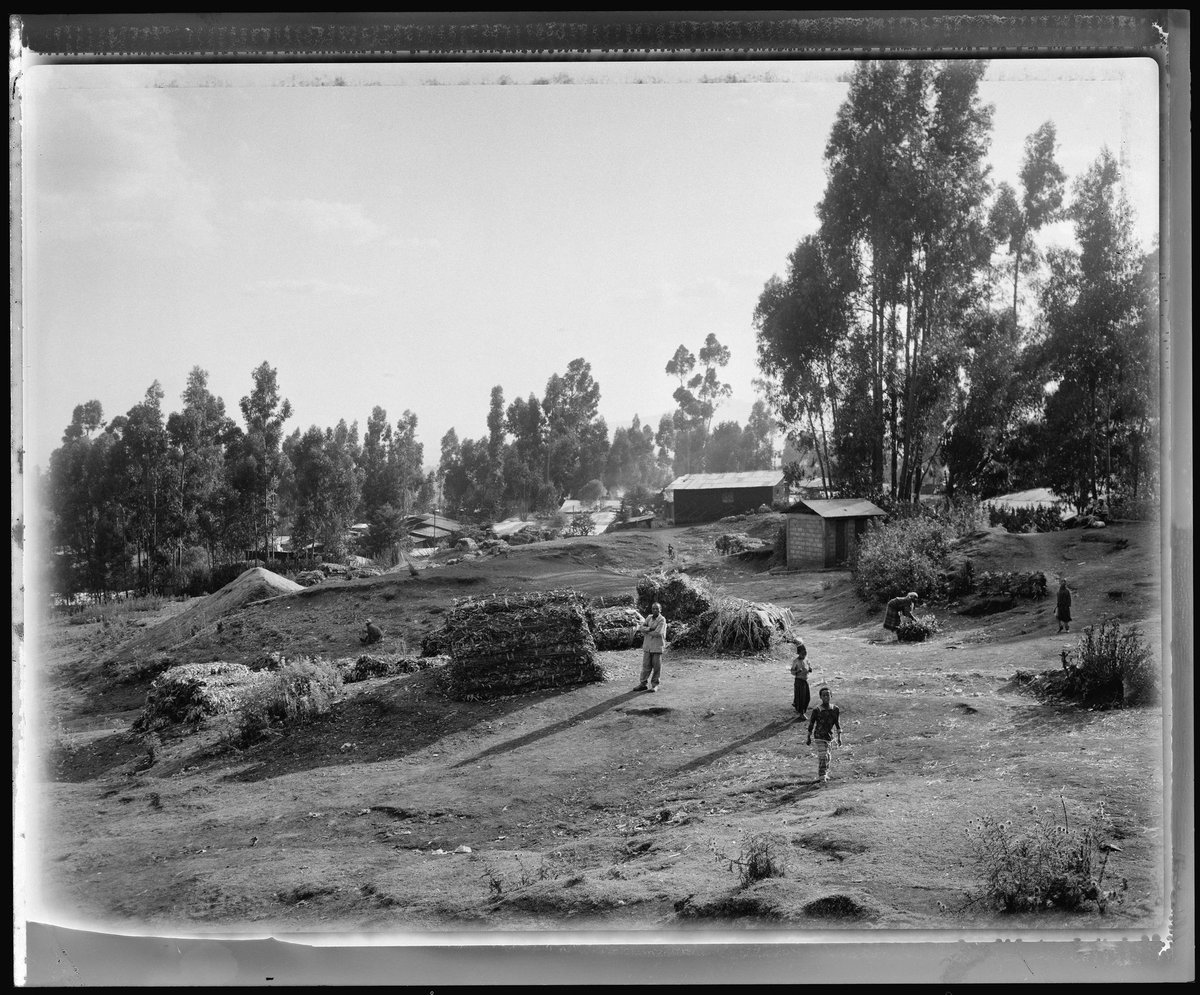 Don’t miss the drop of "Sudden Flowers” on Assembly Curated.

WEDNESDAY, SEPTEMBER 21, 2022
11:11 AM EST

Join the Assembly Discord to be the first to hear the announcement → 
discord.gg/SQqVMybhFV

Assembly Curated → nft.assembly.art