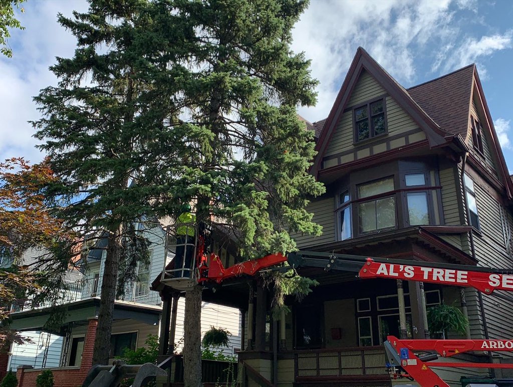 al's tree service tonawanda ny