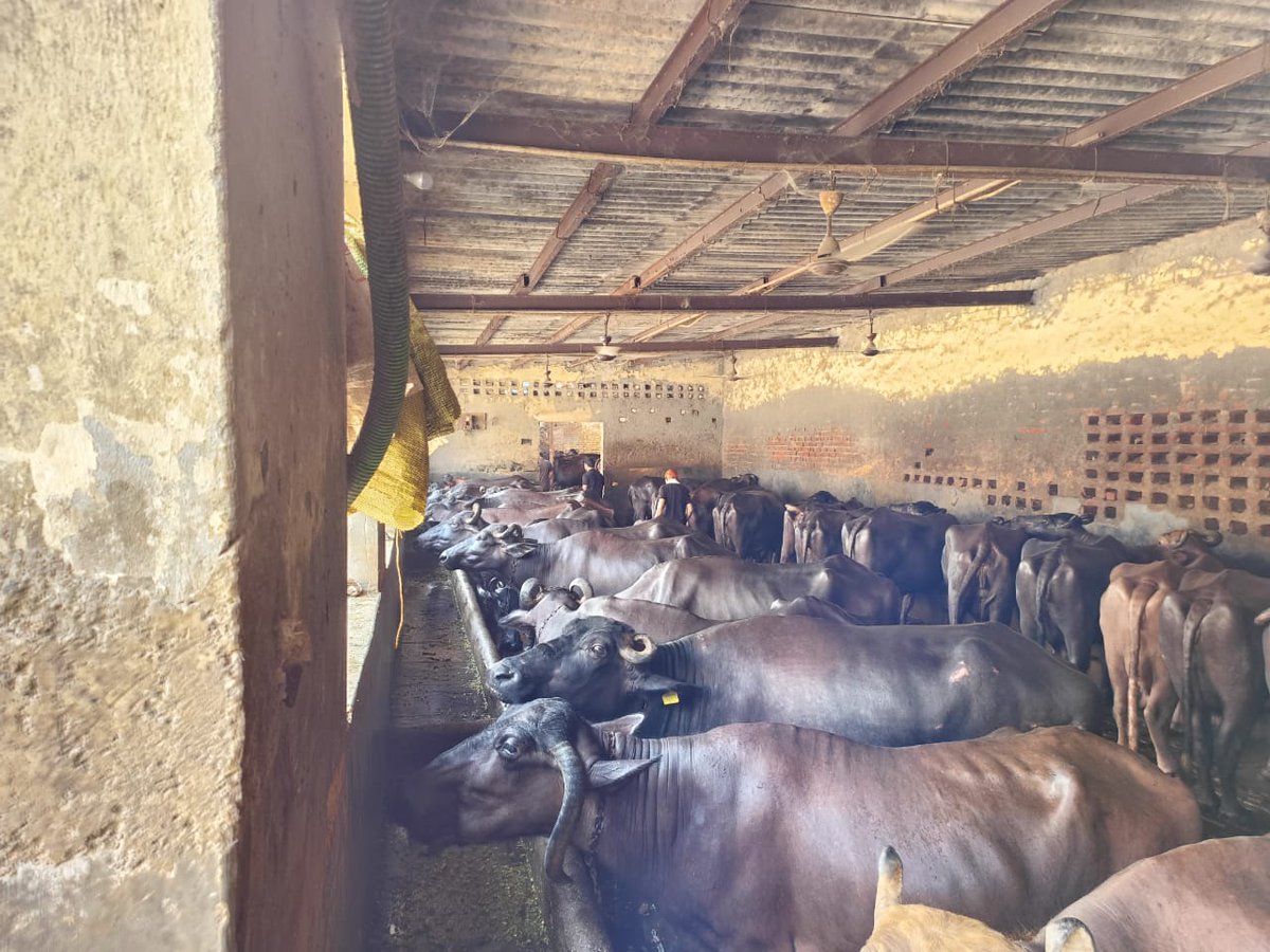 स्वयं सेवक दल | Swayam Sevak Dal tweet media