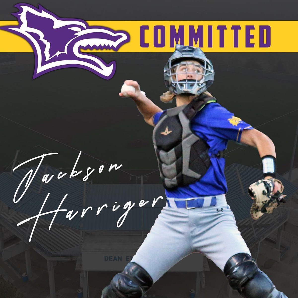 WildcatBSB's tweet photo. https://t.co/yFuA1E0bId