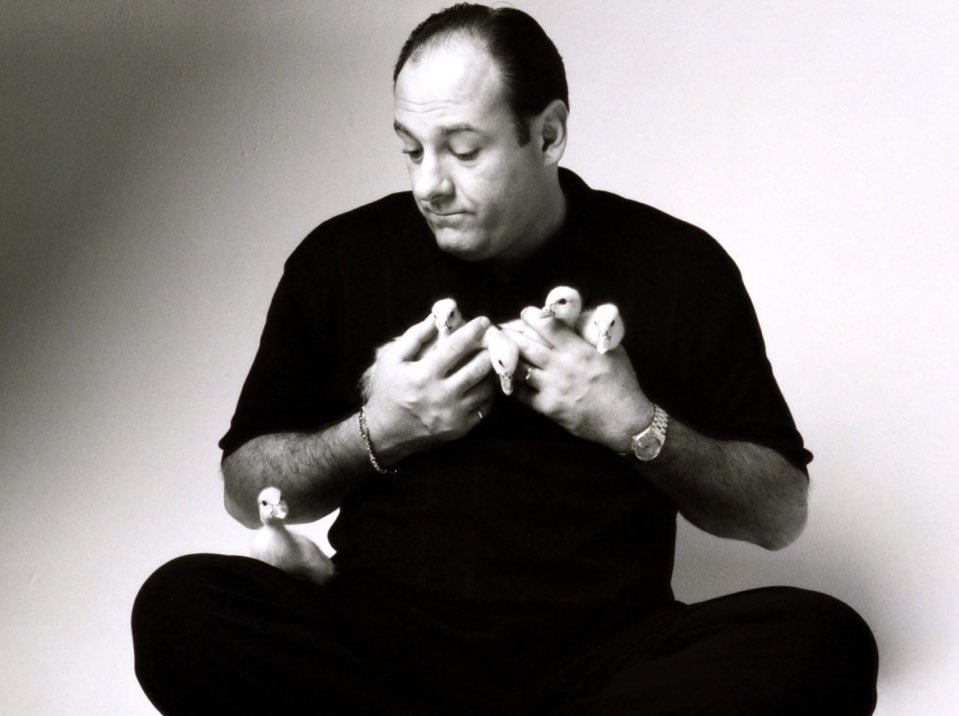 Happy Heavenly Birthday to the legend James Gandolfini  